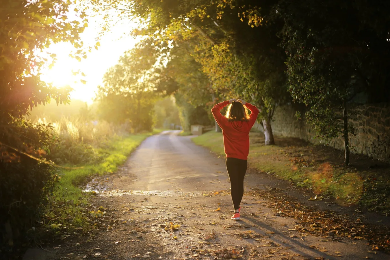 A person stretching on a tree-lined path