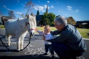 Young child patting a pony