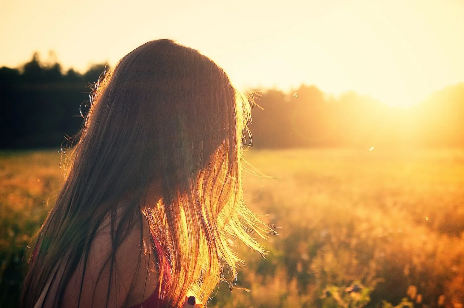 A person viewed from behind in sunlight