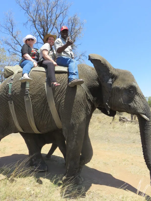 People seated on an elephant during the historical visit