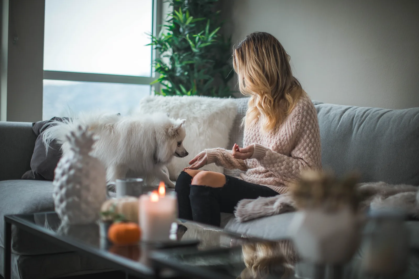 A person sitting on a sofa with a dog