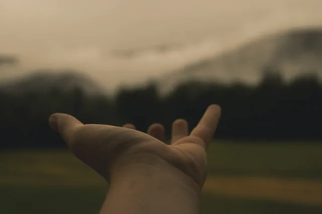 A hand held out against a blurred outdoor background