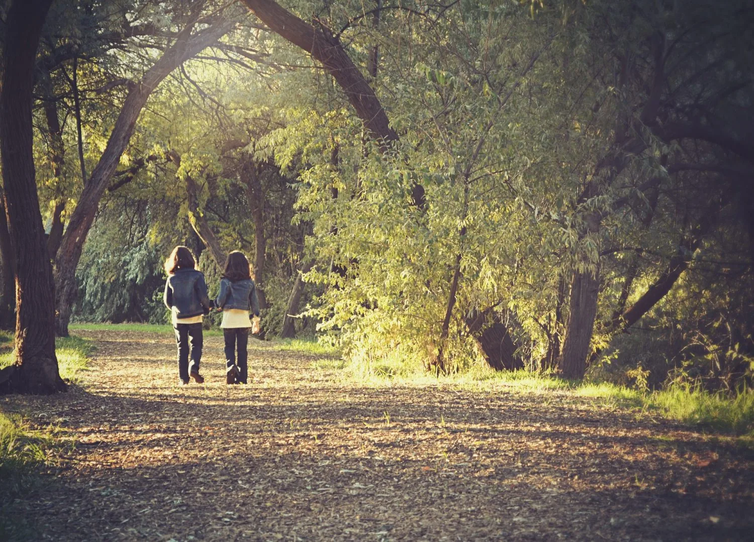 Two people walking along a tree-lined path
