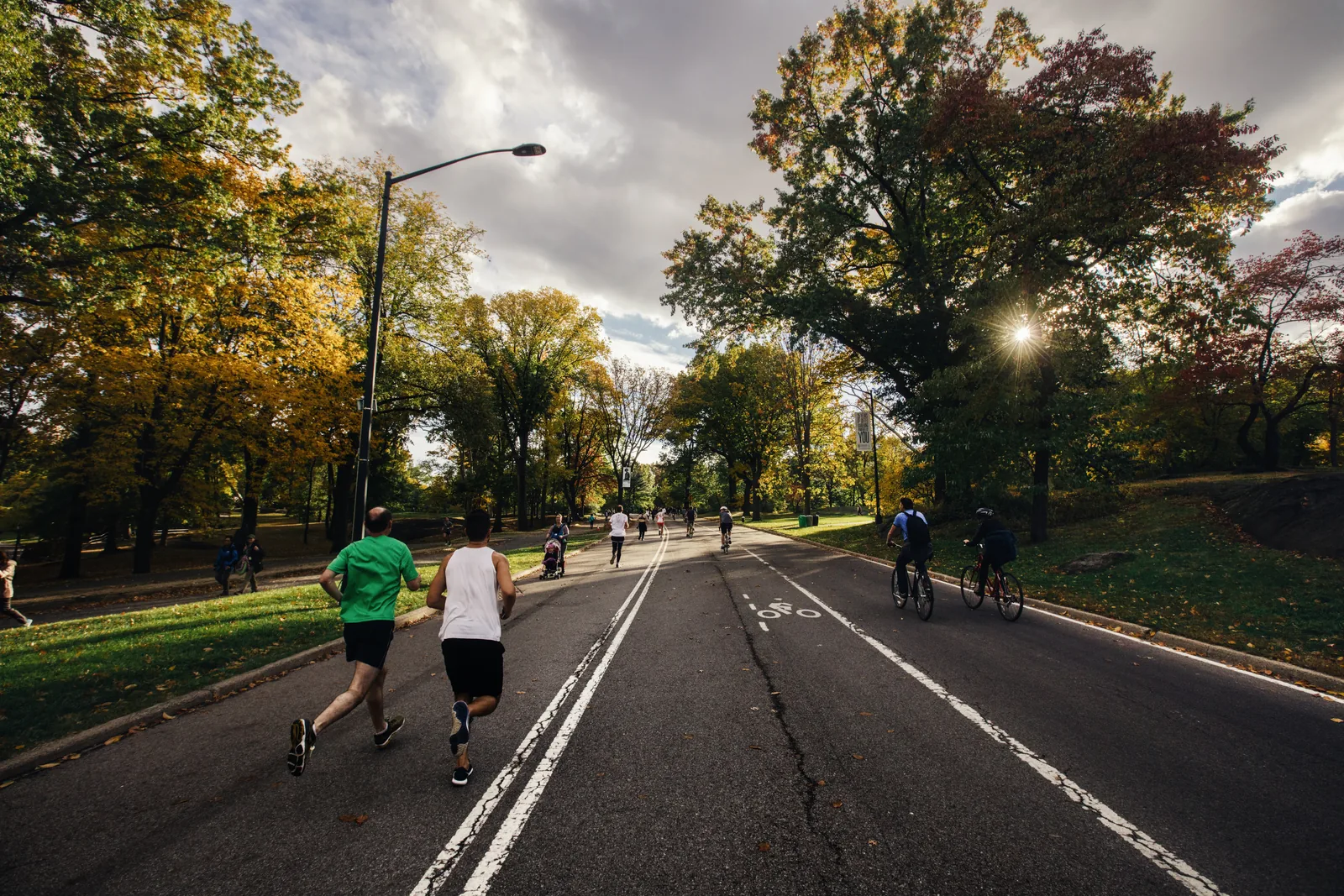 Two people moving along a tree-lined road