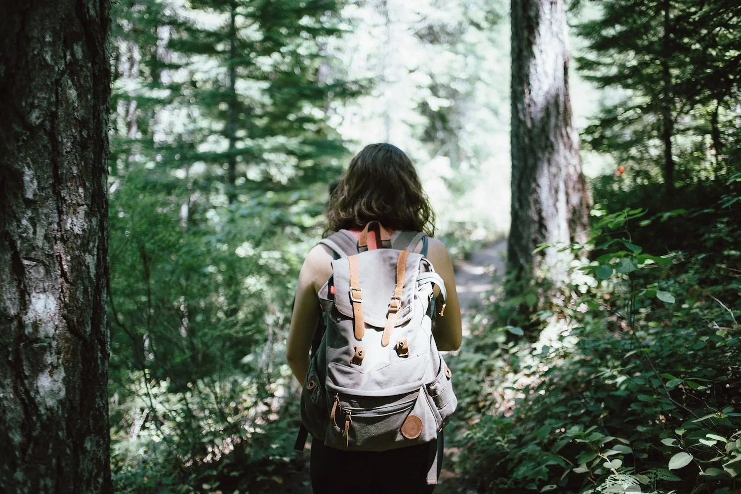 A person with a backpack standing among trees