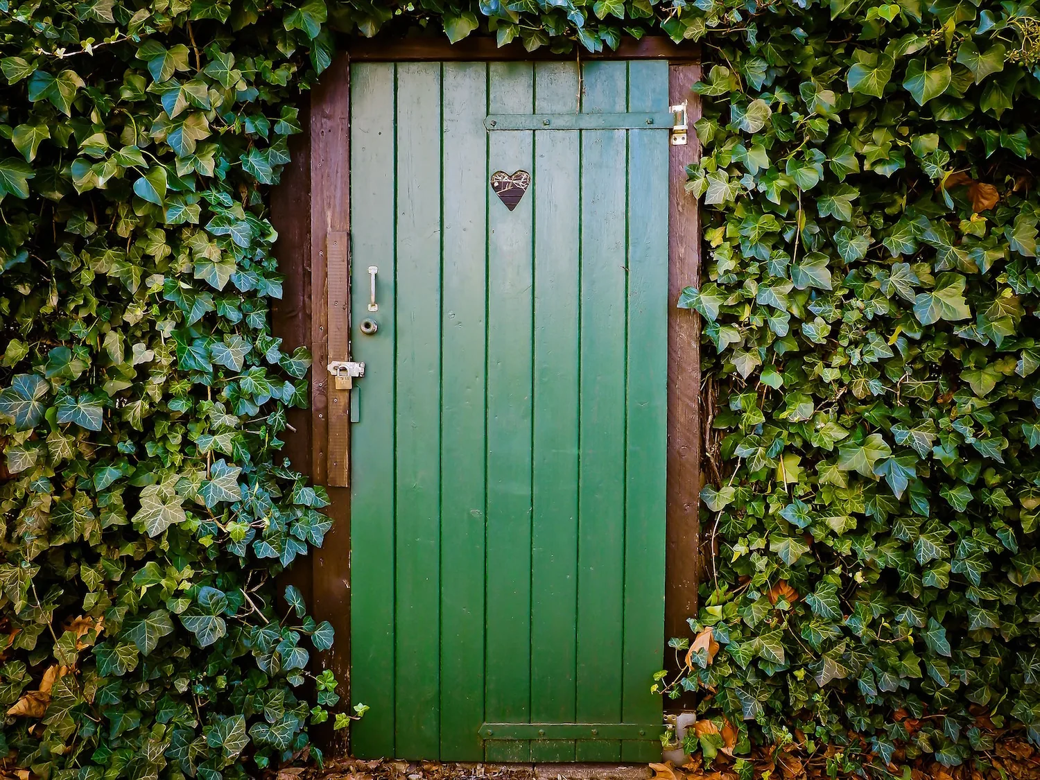 A green door framed by ivy