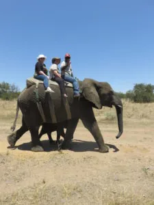 Karen and Mandy riding an elephant with Adventures with Elephants in South Africa