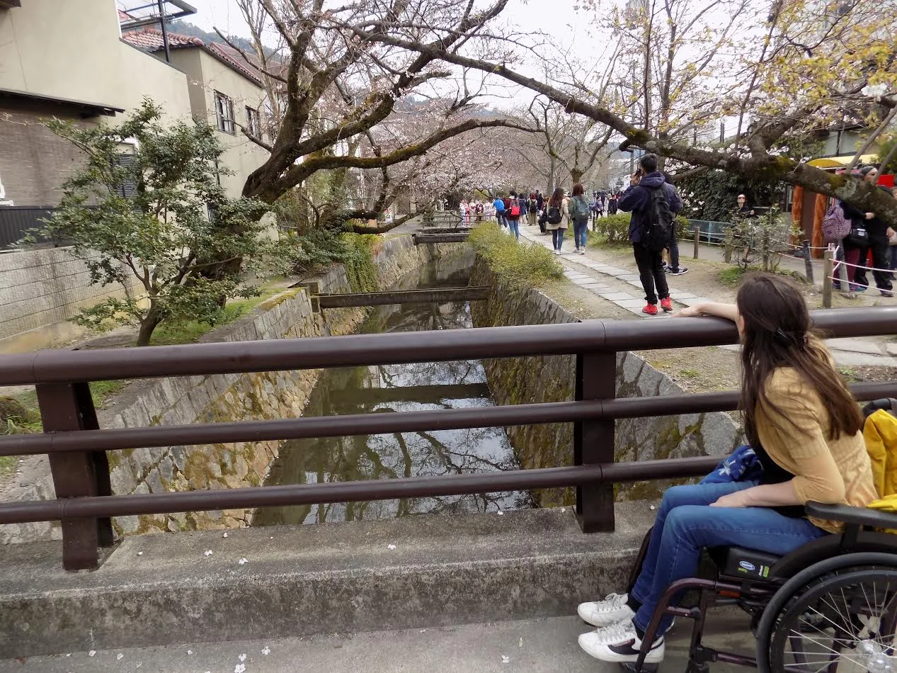 A wheelchair user overlooking a garden and waterway