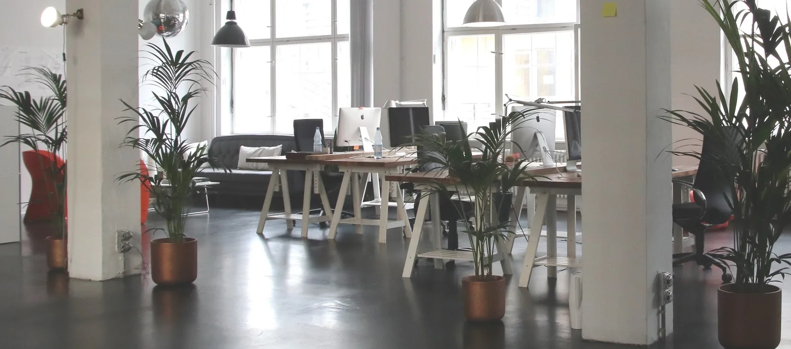 A shared indoor space with tables, chairs and plants
