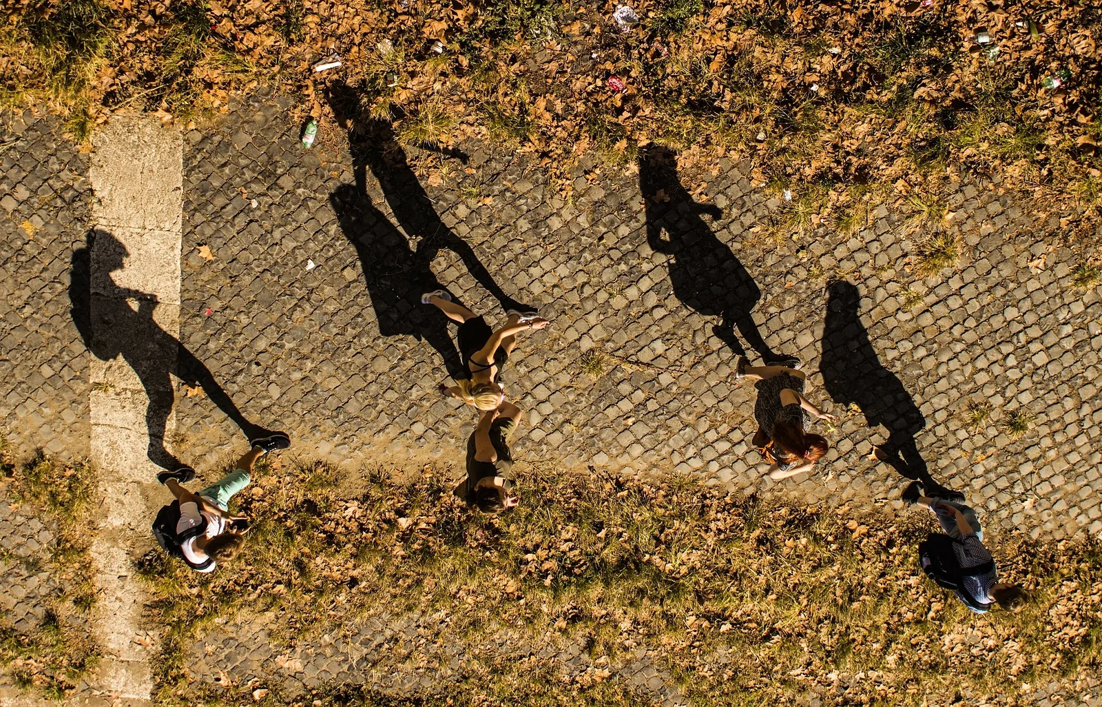People walking along a path with long shadows
