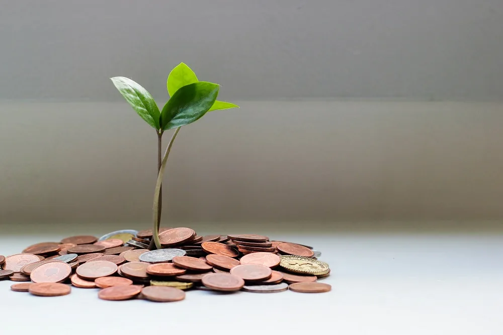 A small plant growing above a pile of coins