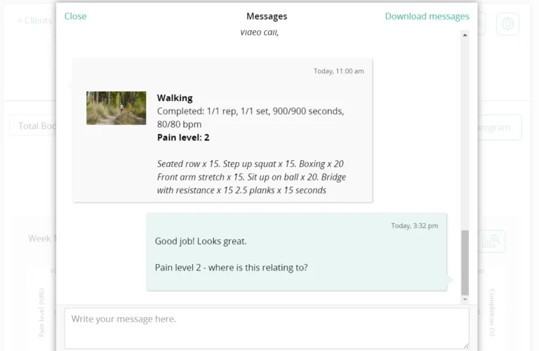 A chat exchange between clinician and client.