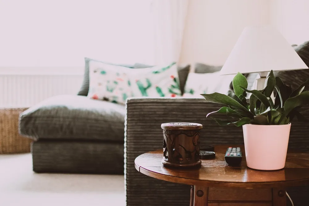 A living room with a sofa, side table and plant